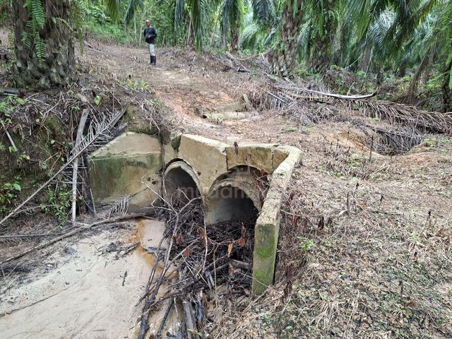 93 Acres Freehold Estate Near Kedah Rubber City 1