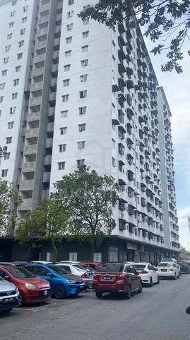 Rimba 2 1