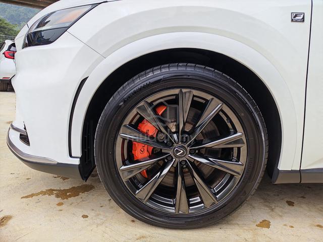 2024 Lexus RX350 2.4 F SPORT (A)33k mileage 5A - 4