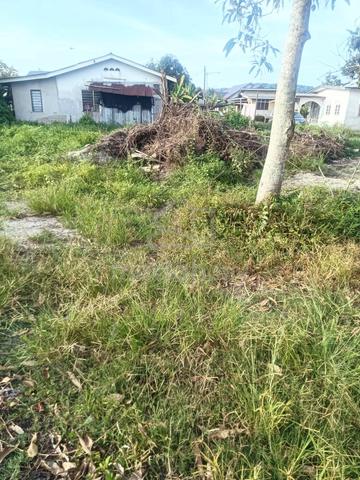 Tanah untuk dijual Kg Sungai Buaya Dungun 1