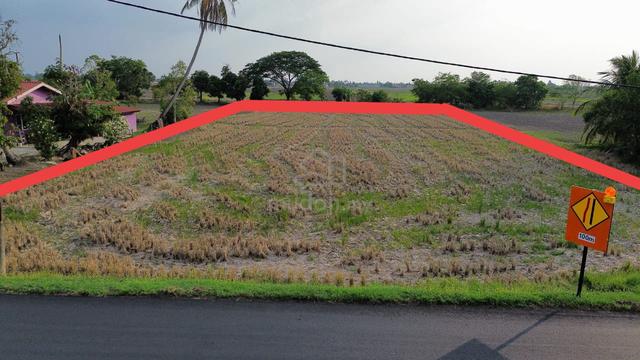 KG SERDANG / CHEMUMAR, SANGLANG | Tanah Bendang Tepi Jalan Besar 1