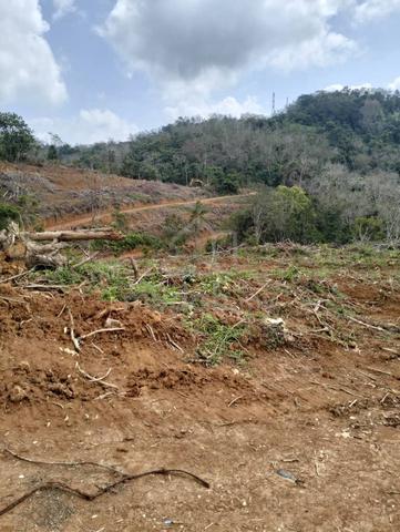 Tanah kebun tepi jalan berturap ada sumber elektrik dan air 1