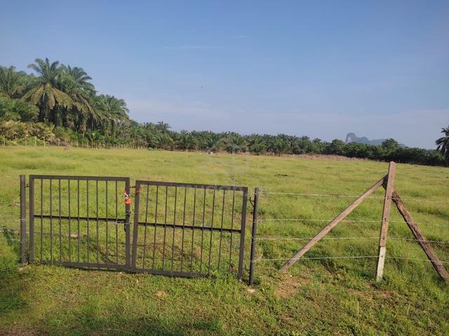 Tanah Pertanian 1.5ekar Sungai Lembing Kuantan Pahang 1
