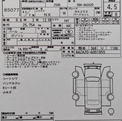 Lexus NX 250 2.5 LUXURY (A) FREE 5 Yr Wty Now 225k - 2