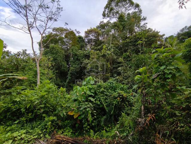 Tanah Tepi Jalan Kechau Berhampiran Bandar Baru Kuala Lipis 4