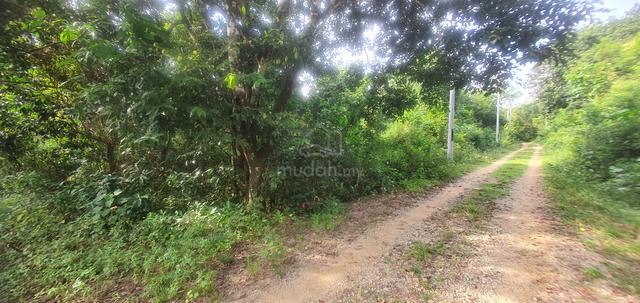 1 lot banglo 517mp Bukit Apit, Ajil 1