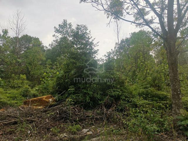 FREEHOLD MAIN ROAD 2.6 acres Commercial Land Nilai Utama 4