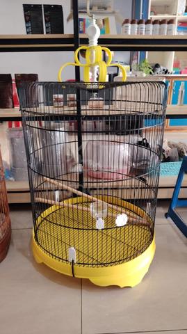 Carousel Image Selected