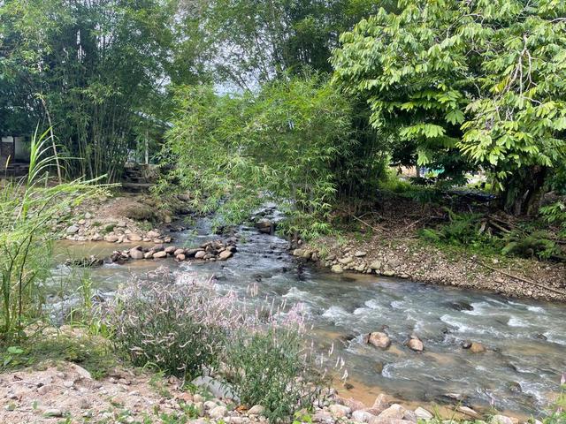 Pahang Bentong Agricultural Freehold Land For Sale 1