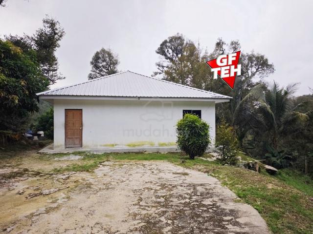 10.81 acre Durian Farm | Agricultural Land | Junjong Kedah 1
