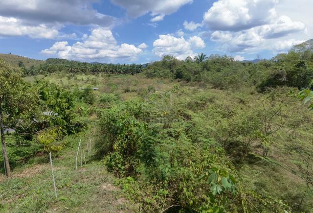 Tanah Lenggong untuk dijual 1