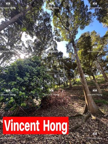 (5 acres) Perak Lenggong agricultural land Durian Farm 3