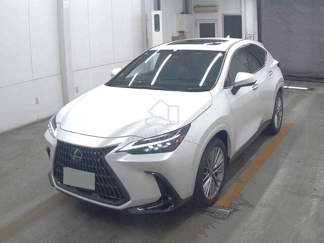 2024 Lexus NX250 Version L - 2