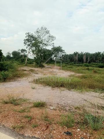 [TEPI WCE HIGHWAY] 2.76 Ekar Tanah Rata, Parit Mahang Ijok 4
