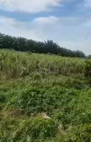 Tanah Pertanian Agricultural Land Rembau 1