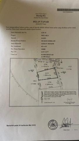 Melaka Serkam Agricultural Land For Rent 1