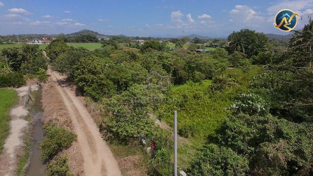 First Grade Land For Sale at Seberang Perai Tengah,Penang -13.42 acre 1