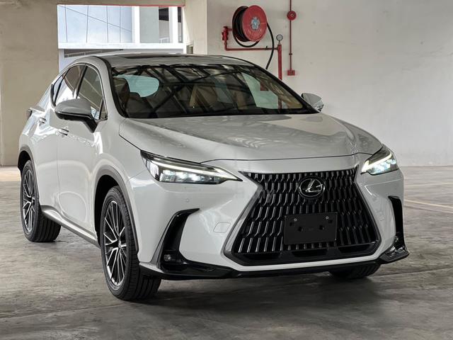 2023 Lexus NX250 2.5L VERSION L *BROWN INTERIOR - 1