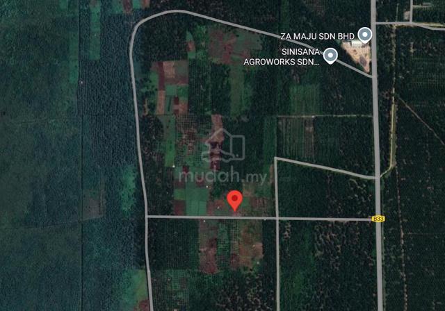 Tanah Pertanian Ijok 1