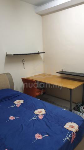 Room for rent pv16 1