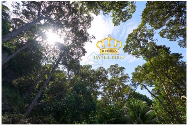 Agricultural Lands Titi Kerawang Balik Pulau For Sale 1