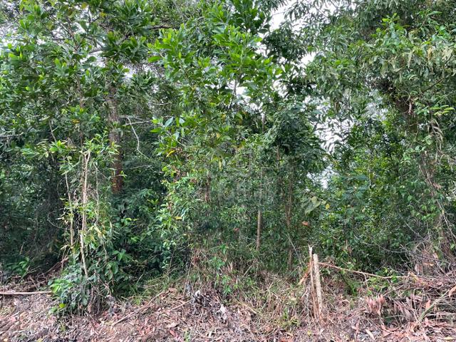 (5996 SQFT) Kg Paya Tanah Lot Non Bumi, Lukut PD 1