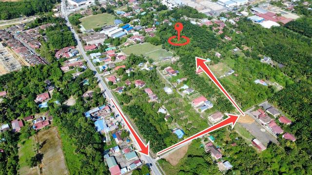 Tasek simpang ampat pulau penang 1