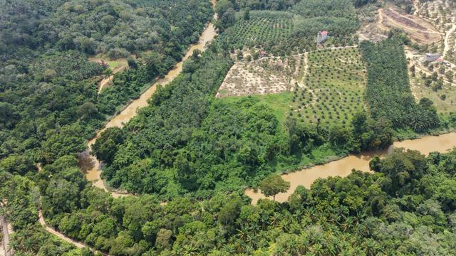 4.35 Acres Durian Freehold Seberang Jelai Padang Tengku Kuala Lipis 1
