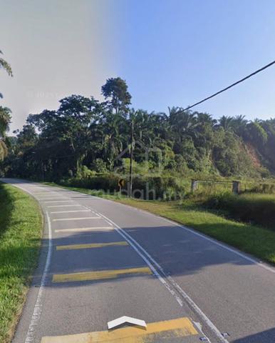 Pontian Agricultural Land For Sale 1