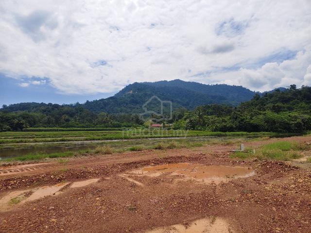 Tanah murah view gunung jerai 1