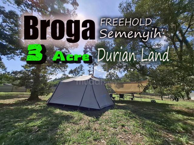 Broga Semenyih Durian Orchard 3 Acre Freehold Already Fruit Bearing 1