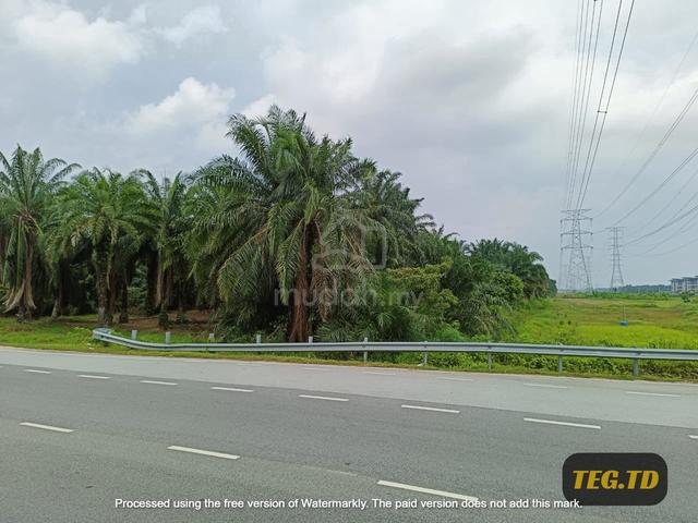 Facing Main Road Olak Lempik Banting 15 Acre Freehold Agriculture Land 1