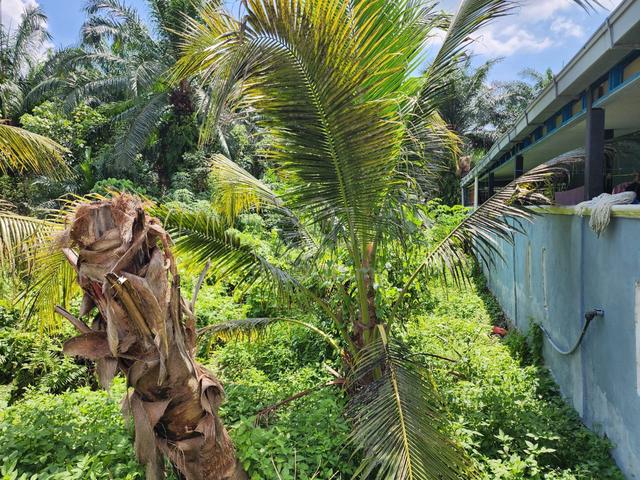 Lot size 55'x90' Jln Waiman Jenjarum Kuala Langat Selangor Utk di Jual 1