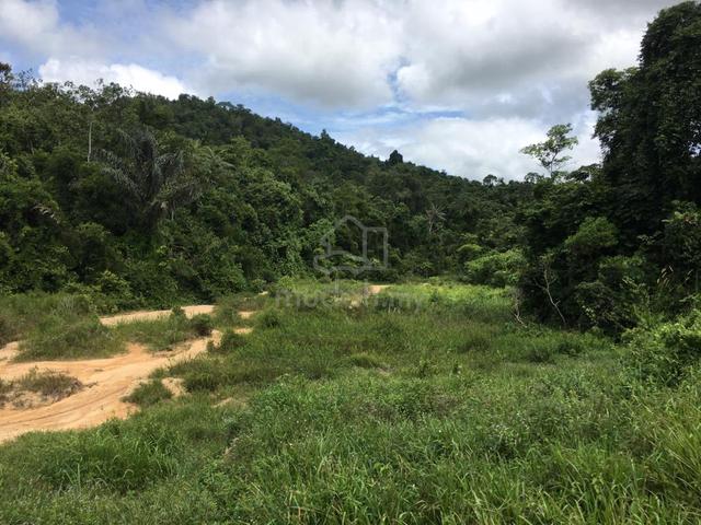 Agrilcuture Land For Sale Mukim Gemencheh ,Tampin Negeri Sembilan 1