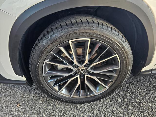 2023 Lexus NX 250 2.5 LUXURY SUNROOF GRADE 5A 360 - 3