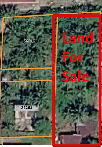 Tanah Pertanian untuk Dijual di Seberang Perai Utara 1