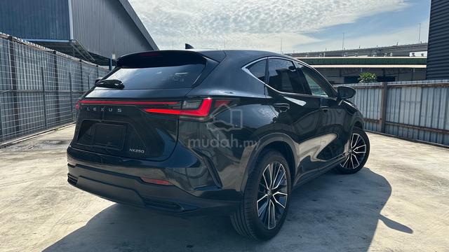 Sunroof 2023 Lexus NX250 2.5 VERSION L Hud Bsm - 2