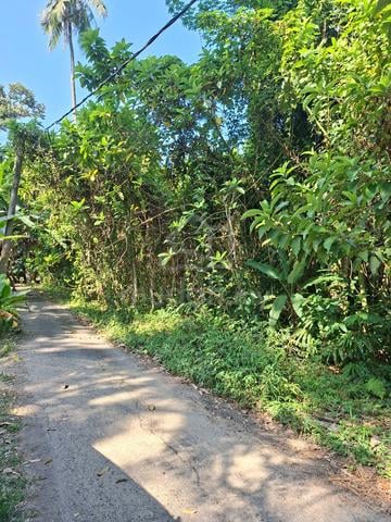 1.5 Ekar Kebun Kg Ara Panjang 1