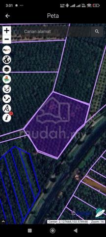 Kebun sawit Pantai layang 5 Ekar 1