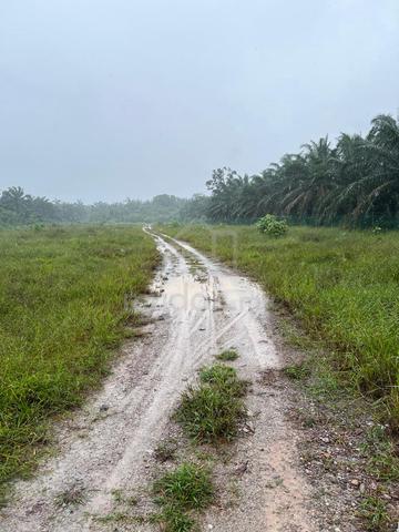 2.28 Ekar Tanah Dusun RTB Air Putih (Jln kg Dew) Taiping, Perak 5
