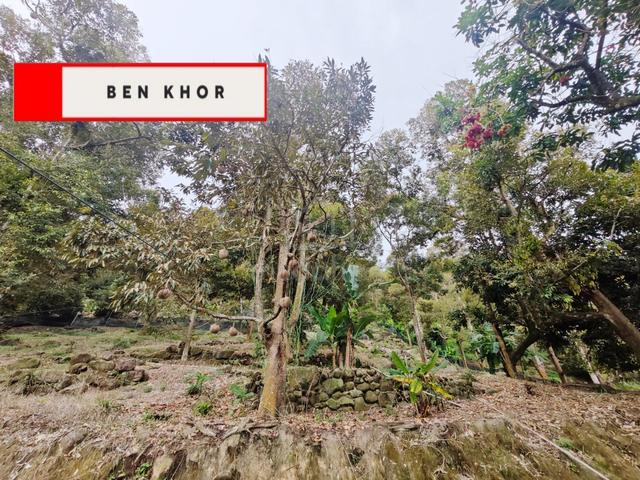 Sea View | Fruit Orchard | 2.34 Acres| Balik Pulau Pinang 1