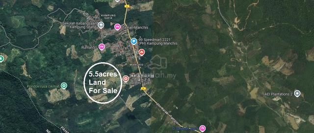 Durian Plantations Land, Manchis, Karak Bentong, Pahang 2