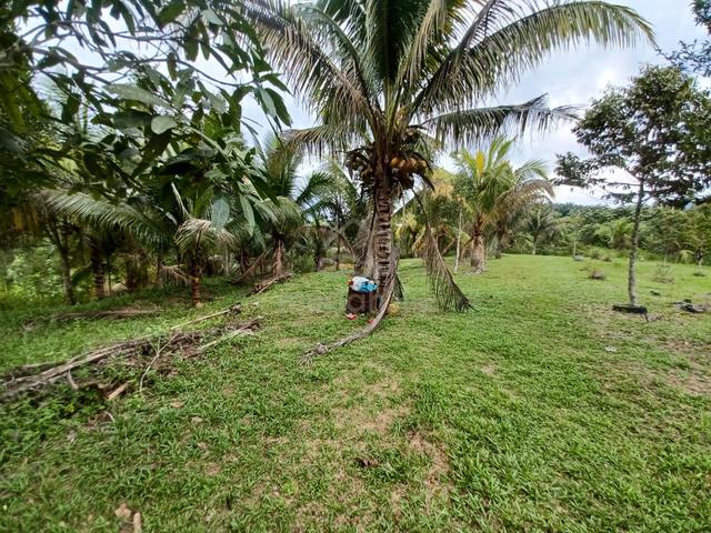 Selangor Hulu Selangor Agricultural Freehold Land For Sale 1
