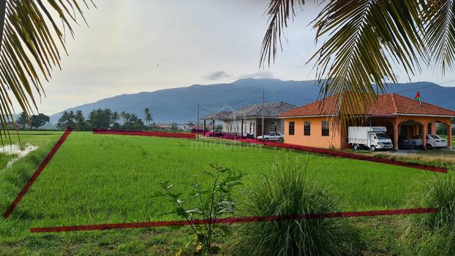 Tanah Bendang untuk tapak rumah 1