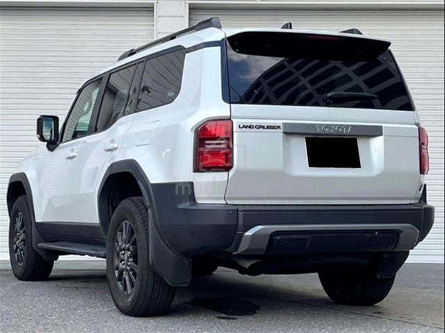 2025 Toyota LANDCRUISER 2.8 250 ZX (A) - 4