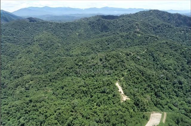 Got GERAN Kelantan Kuala Krai Mambong 2300 acre Palm Oil & Durian Farm 1