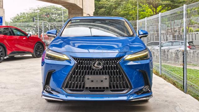 2023 Lexus Nx 250 2.5 Luxury Mark Levinson - 3