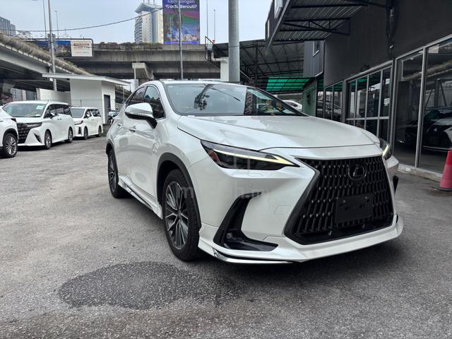 2023 Lexus NX250 2.5 VERSION L MARK LIVISON 360CAM - 2