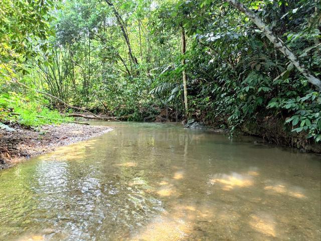 Freehold Malay Tanah Dusun Tepi Sungai Ulu Yam 1