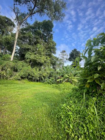 Banglo Lot Nong Chik, JB – FREEHOLD! Gated & Guarded 2